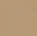 Soft Dusty Yellow