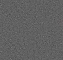 Black Grey