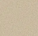 Warm Sand