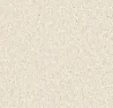 White Beige