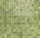 Lichen