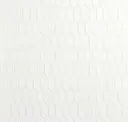 Arctic White