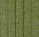 Moss