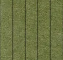 Moss
