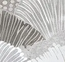 Silver Spoon