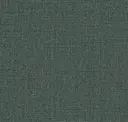 Elm