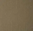6004