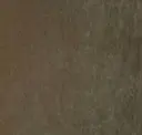 6005