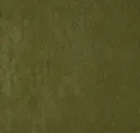 6024