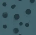 Dark Teal On Mediterranea