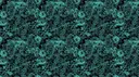 Teal On Black