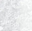 Grey On White