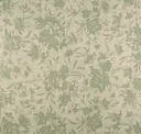 Moss