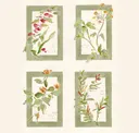 Celadon