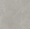 Steel