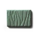 Fern