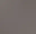 Warm Grey 70