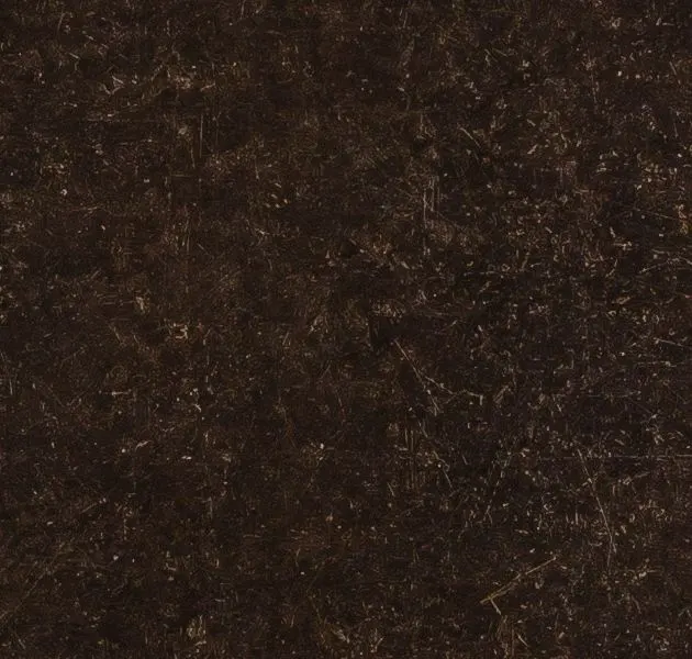 Main