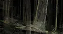 Dark 1