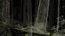 Dark 2