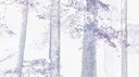 Light