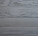 Vivid Silver