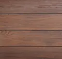 Vivid Exotic Brown