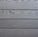 Vivid Silver