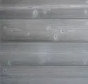 Vivid Silver