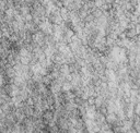 Silver Grey