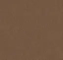 Mocha