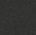 Iron
