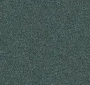 Seafoam