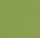 Green Apple
