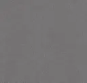 Steel