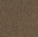 Dusty Ochre