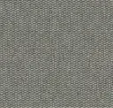 Ash Grey