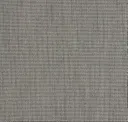 Mouse Grey