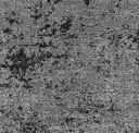 Concrete Smoke Grey