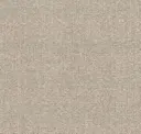 Soft Beige