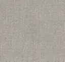 Pure Grey