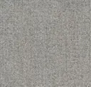 Neutral Grey