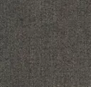 Warm Grey