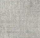 Seed Light Grey 5520