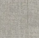 Seed Light Grey 5500