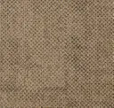 Seed Camel 5500