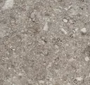 Gra