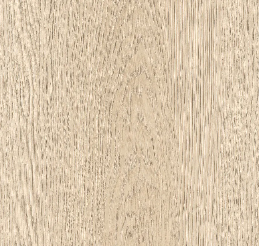 Main