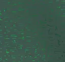 Foliage Shimmer