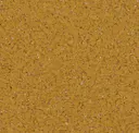 Goldenrod